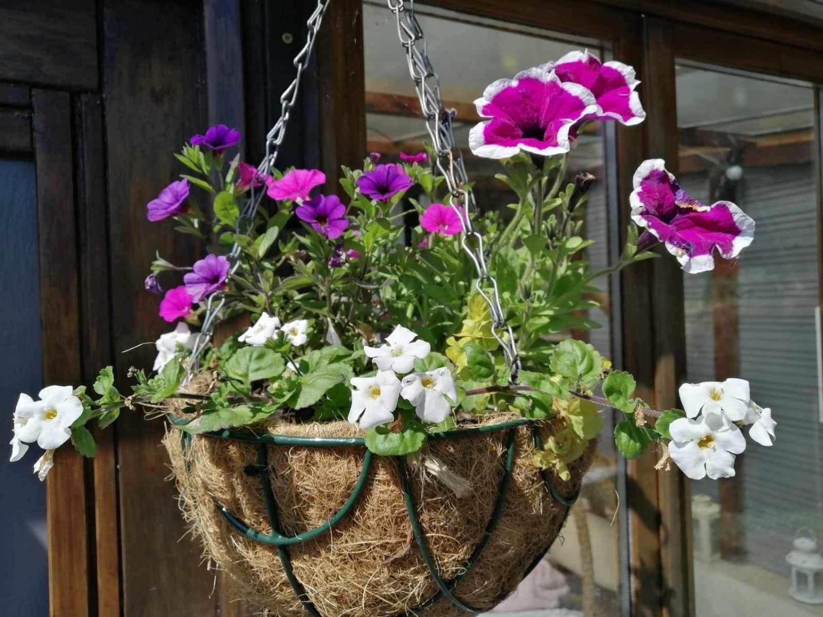 Normand Holiday Home - Vire Calvados Relaxing Rural Retreat Le Reculey Extérieur photo